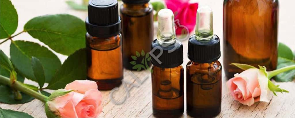 Honeysuckle Absolute Oil Benefits